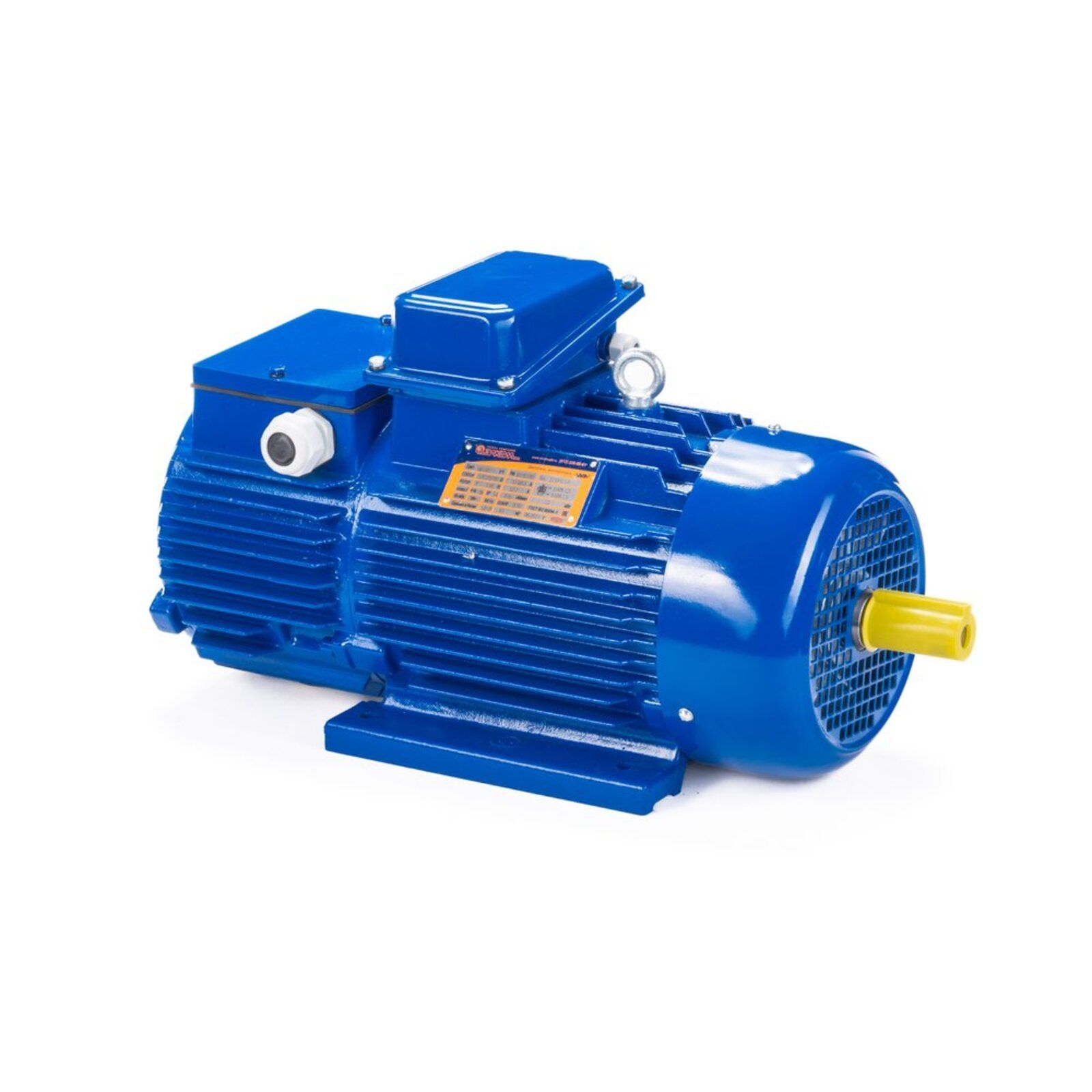 Электродвигатель 5МТН 225 М8 30/750 IM1004