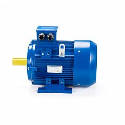 Эл.двигатель ESQ 250 M2-SDN- 55/3000 IM B3