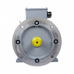 Электродвигатель ESQ PR 100 LB4-SDN-Б1-S12-IE2 3/1500 IMB35