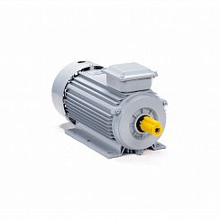 Электродвигатель ESQ PR 90 L2 GST-Б1-S12-IE2 3/3000 IM1081