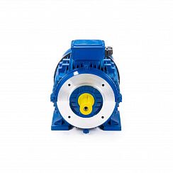 Электродвигатель ESQ 112 MA8-SDN-ED 1,5/750 IMB34