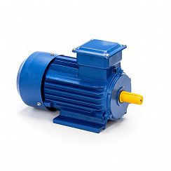 Электродвигатель 5АИ 80 В6 1,1/1000 IM1081