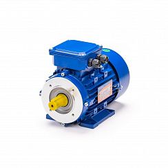 Эл.двигатель 5АИ 80 А8 FT100 0.37/750 IM 2181