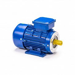 Эл.двигатель 5АИ 80 А8 FT100 0.37/750 IM 2181