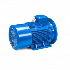Электродвигатель 5АИ 200 М2 37/3000 IM2001