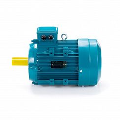Электродвигатель ESQ 132 SA2-SDN-DS 5,5/3000 IMB14
