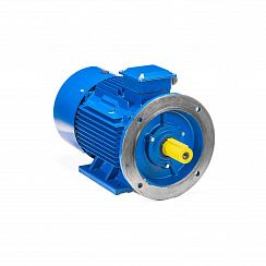 Электродвигатель 5АИ 180 М2 30/3000 IM2001