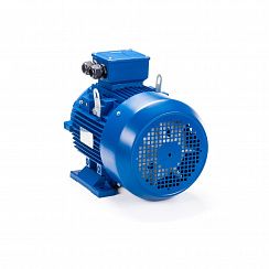 Эл.двигатель ESQ 250 M2-SDN- 55/3000 IM B3