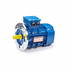 Эл.двигатель 5АИ 90 L2 3/3000 IM 3081