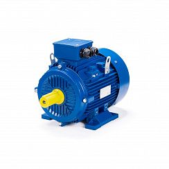 Эл.двигатель ESQ 100 LB2-SDN- 4/3000 IM B3