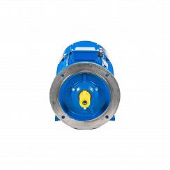 Электродвигатель 5АИ 200 L6 30/1000 IM2001