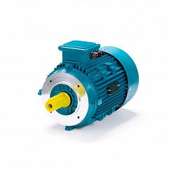 Электродвигатель ESQ 132 SA2-SDN-DS 5,5/3000 IMB14