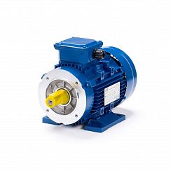 Электродвигатель ESQ 90 S8-SDN- 0,37/750 IMB34