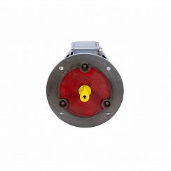 Эл.двигатель ESQ PR 100 L4 GST-Б1-S12-IE2 4/1500 IM 2081