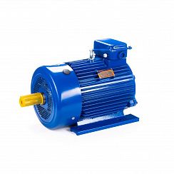 Электродвигатель 5МТКН 412-6 30/1000 IM1003