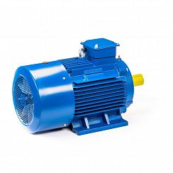 Электродвигатель 5АИ 225 М4 55/1500 IM1001