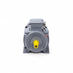 Электродвигатель ESQ PR 160 S4 GST-Б1-S12-IE2 15/1500 IM1001