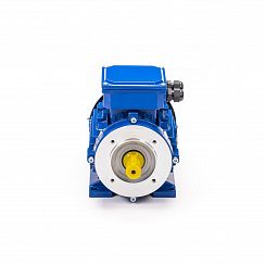 Эл.двигатель 5АИ 80 А8 FT100 0.37/750 IM 2181