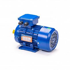 Эл.двигатель 5АИ 80 А8 FT100 0.37/750 IM 2181