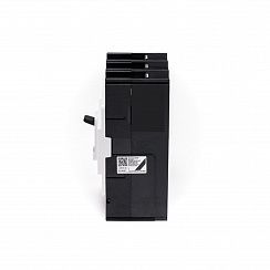 Автоматический выключатель HGM125L 2PT4S0000C 00025F 20-25A ток к.з. 55kA AC380/415В