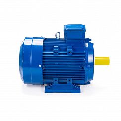 Электродвигатель ESQ 100 LB2-SDN- 4/3000 IMB34