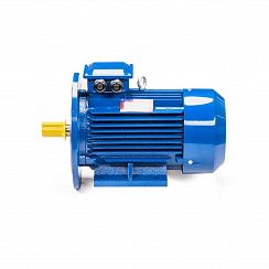 Эл.двигатель 5АИ 100 L4 4/1500 IM 2081