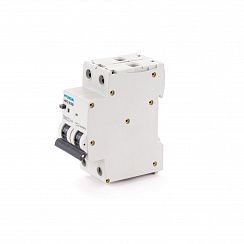 Дифавтомат HRO63B 2PG4C0000C G 2P 25A 10кА 30мА