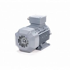 Электродвигатель ESQ PR 80 B4-SDN-Б1-S12-IE3 0,75/1500 IMB34