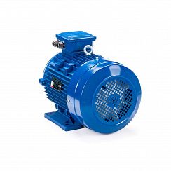 Электродвигатель ESQ 132 SA2-SDN 5,5/3000 IMB34