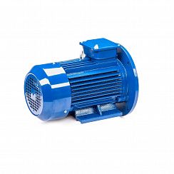Электродвигатель 5АИ 100 L4 ET 4/1500 IM2081
