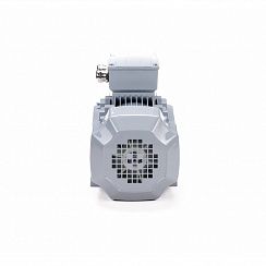 Электродвигатель ESQ PR 80 B4-SDN-Б1-S12-IE3 0,75/1500 IMB34