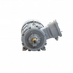 Электродвигатель 2АИМУР 280 S4 У1, 380/660В, класс изоляции F, 1ExdbIIBT4 Gb X, РТС (статор), подшипники SKF, 132/1500 IM1001