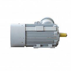 Электродвигатель 2АИМУР 280 S2 У1, 380/660В, класс изоляции F, 1ExdbIIBT4 Gb X, РТС (статор), подшипники SKF, 132/3000 IM1001