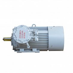Электродвигатель 2АИМУР 280 S2 У1, 380/660В, класс изоляции F, 1ExdbIIBT4 Gb X, РТС (статор), подшипники SKF, 132/3000 IM1001