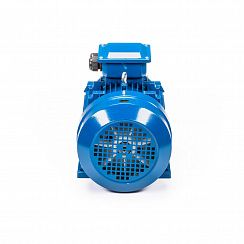 Электродвигатель 5АИ 160 S4 15/1500 IM1001