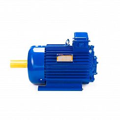 Электродвигатель 5МТКН 011-6 1,4/1000 IM1001