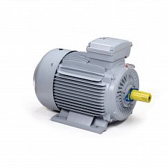 Эл.двигатель ESQ PR 250 M4-SDN-Б1-S12-IE3 55/1500 IM B3