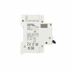 Автоматический выключатель HGD63M 2PMCS0000C C 2P 16А 6kA (STANDARD)