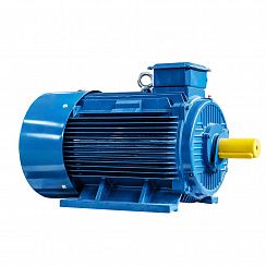 Электродвигатель 5АИ 315 S2 160/3000 IM1001