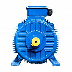 Эл.двигатель 5АИ 355 S4 250/1500 IM 1001