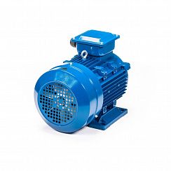 Эл.двигатель 5АИ 112 М4 5.5/1500 IM 1081