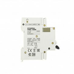 Автоматический выключатель HGD63-M 2PMDS0000C D 2P 2А 6kA (STANDARD)