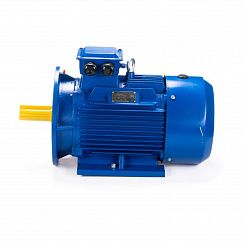 Эл.двигатель ESQ 100 LB2-SDN- 4/3000 IM B35