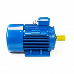 Электродвигатель 5АИ 200 М4 37/1500 IM1001