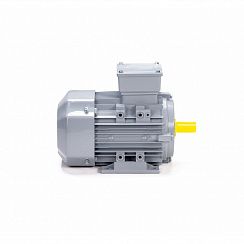 Электродвигатель ESQ PR 80 A6-SDN-Б1-S12-IE3 0,37/1000 IMB3