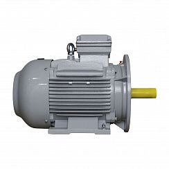 Электродвигатель ESQ PR 160 L2-SDN-Б1-S12-IE3 18,5/3000 IMB35