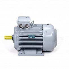 Эл.двигатель ESQ PR 250 M4-SDN-Б1-S12-IE2 55/1500 IM B3