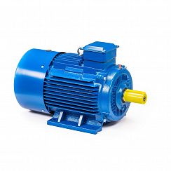 Электродвигатель 5АИ 200 М4 37/1500 IM1001