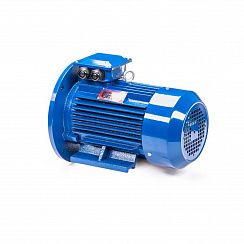 Эл.двигатель 5АИ 100 L4 4/1500 IM 2081