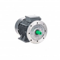 Электродвигатель ESQ TR 112 MA2-SDN-IE2 4/3000 IMB35